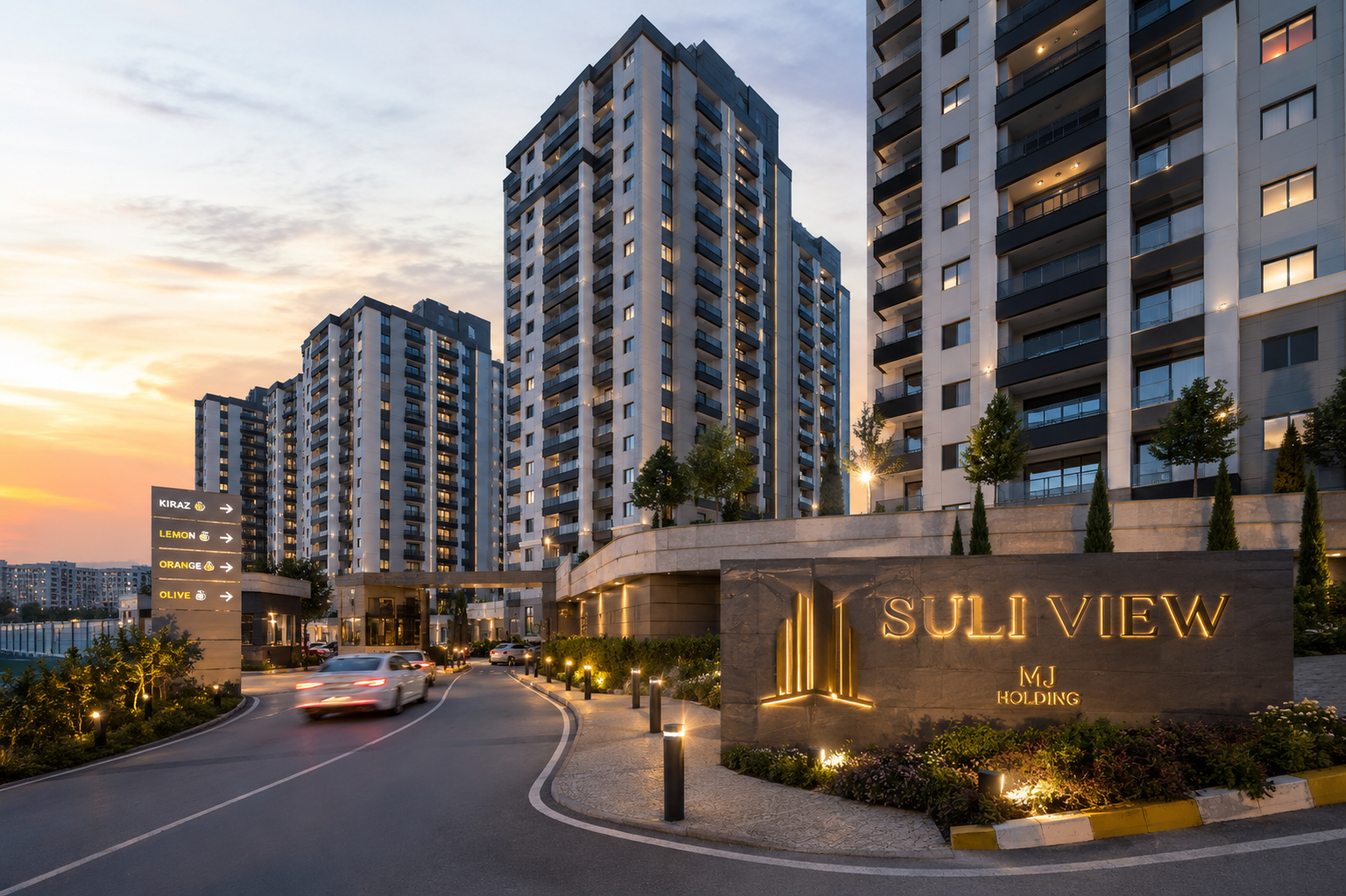 Suli View